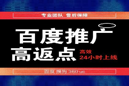 SEM托管服务实战案例：打造高效广告投放策略